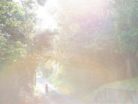 Rinko Kawauchi:  a faraway shining star, twinkling in hand – From the series ME, 2019