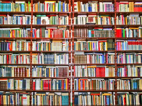 Großes Bücherregal, welches die ganze Wand bedeckt